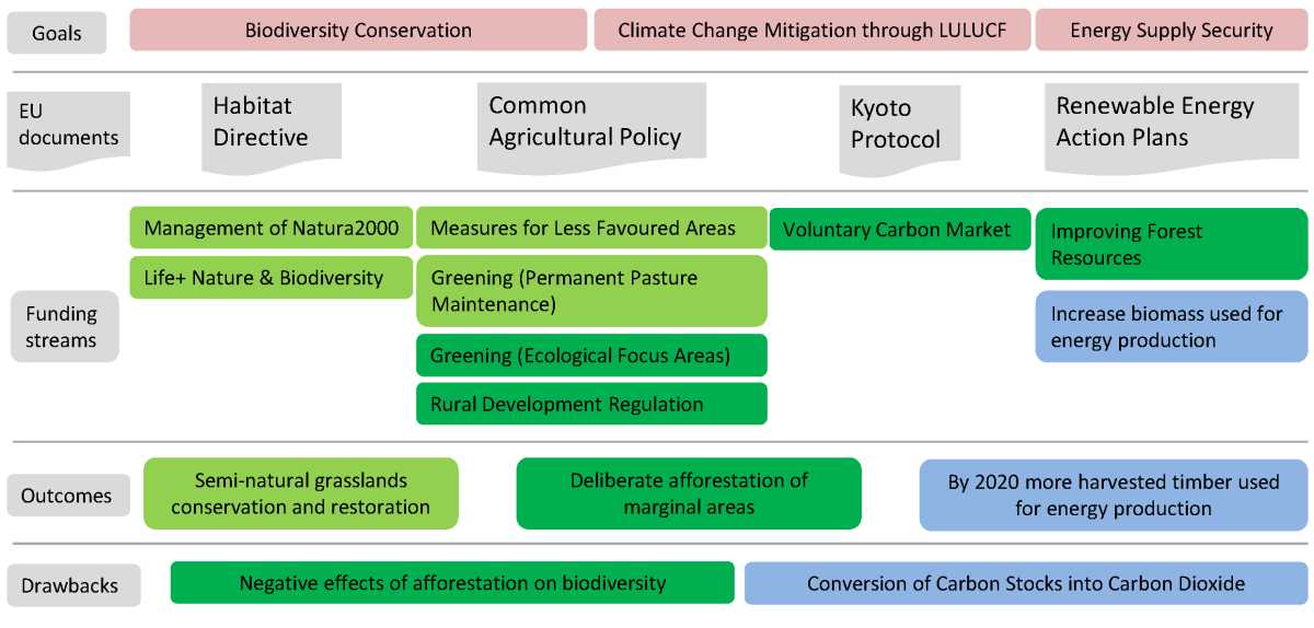 Conservation Strategies