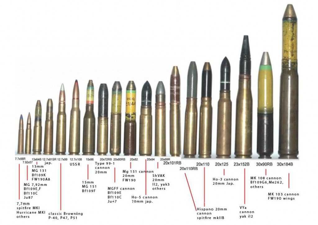 Ammo handlers 108 exam answers