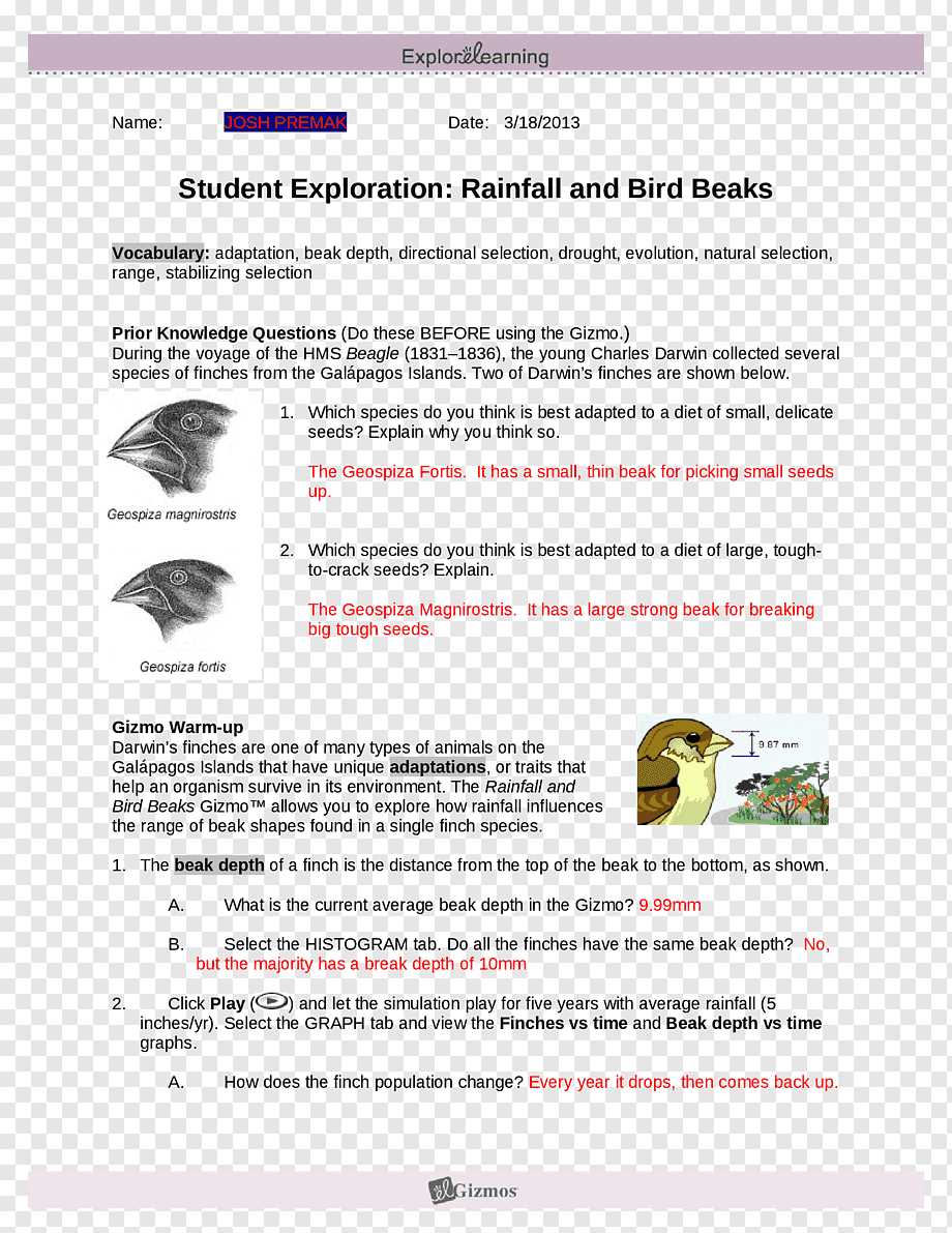 Rainfall bird beaks gizmo answer key