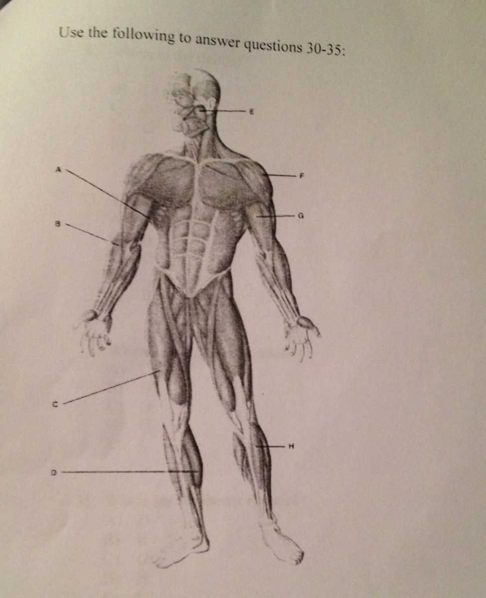 Lab exam 1 for anatomy and physiology 1