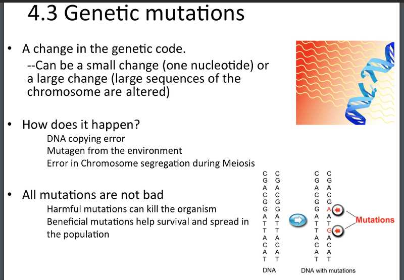 From genes to proteins answer key