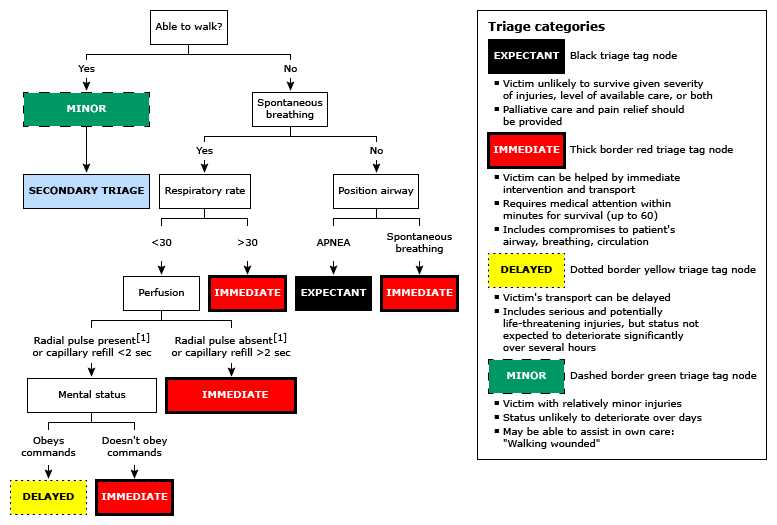 Understanding the Purpose of the 2019 ATI Comprehensive Exit Exam