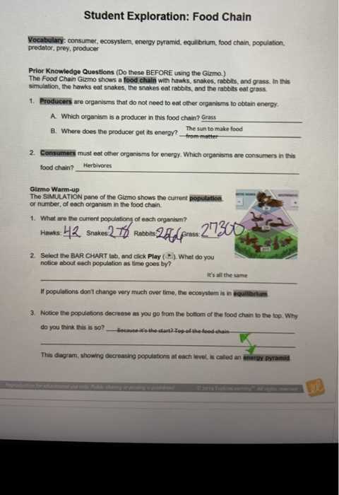 Student exploration basic prism answer key