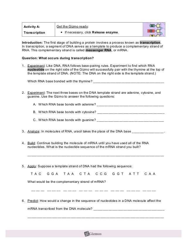 Student exploration gmos and the environment answer key pdf