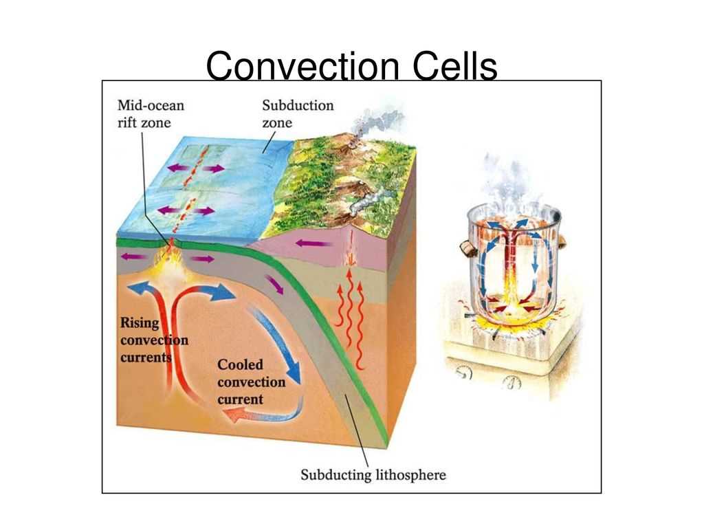 Convection cells gizmo answers