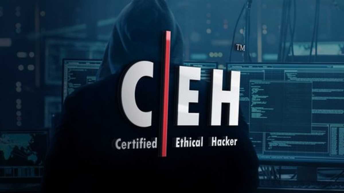 Hands-On Learning: How Testout Ethical Hacker Pro Provides Real-World Practice