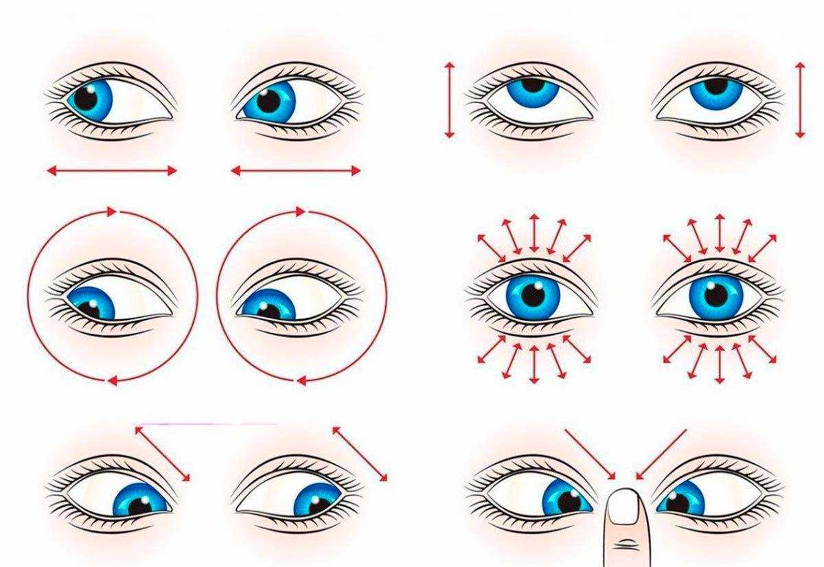 The blue eyed brown eyed exercise answer key