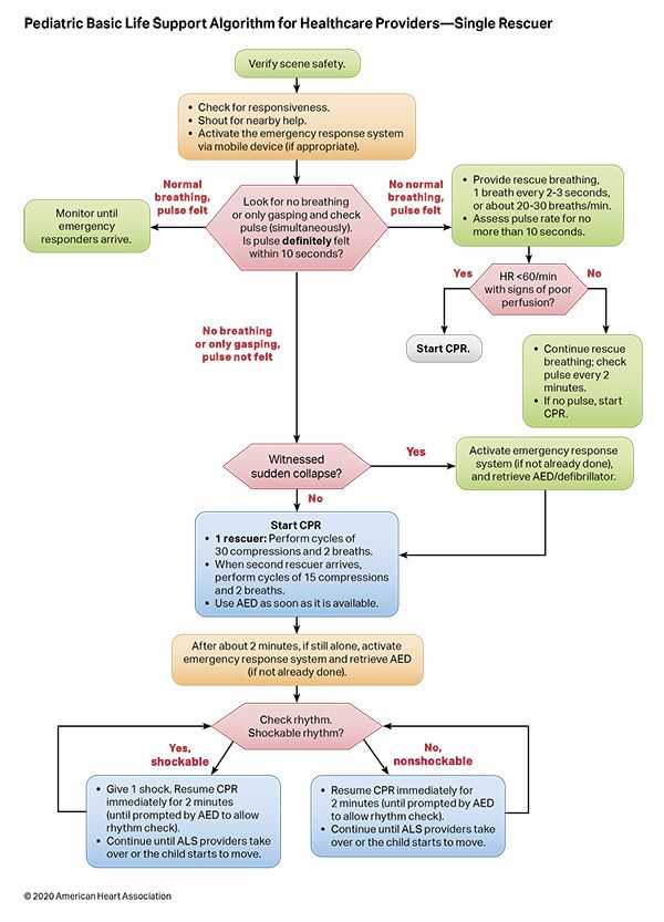 Understanding Essential Emergency Response Skills