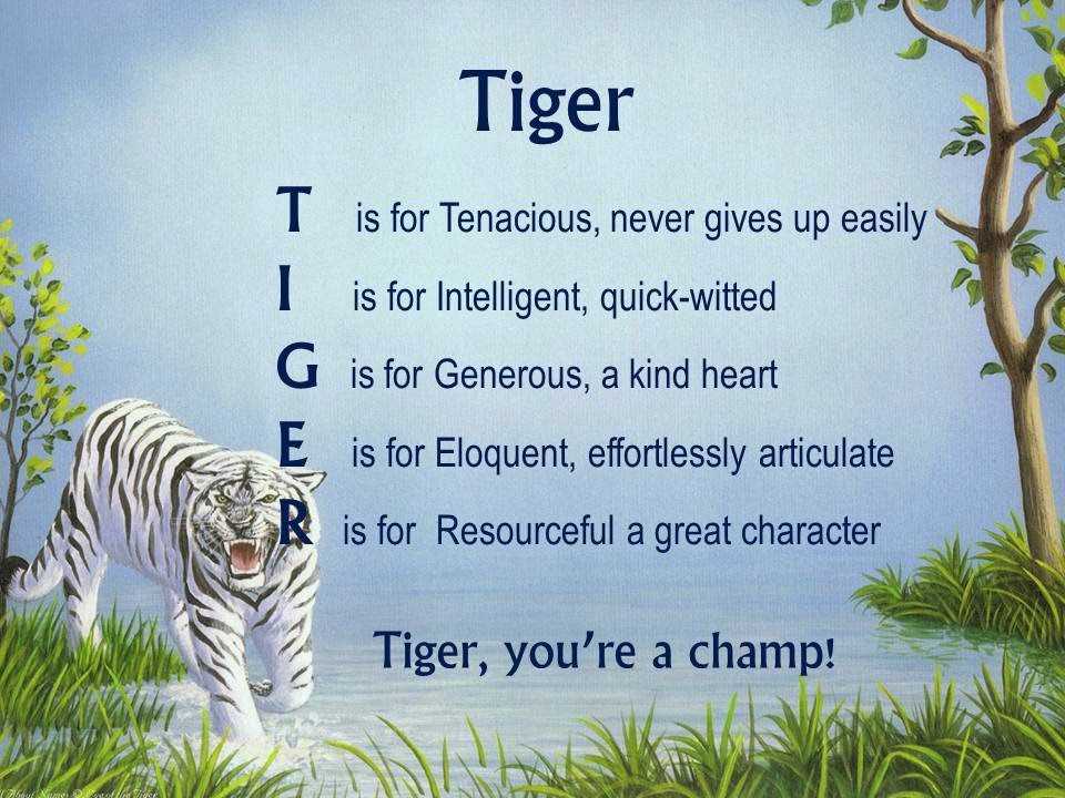 Interpretation of The Tyger Poem