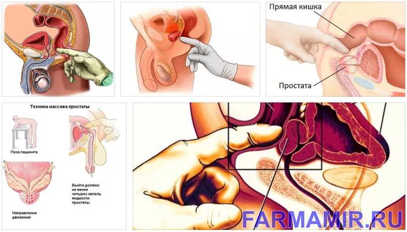 4. Understanding Anatomy: