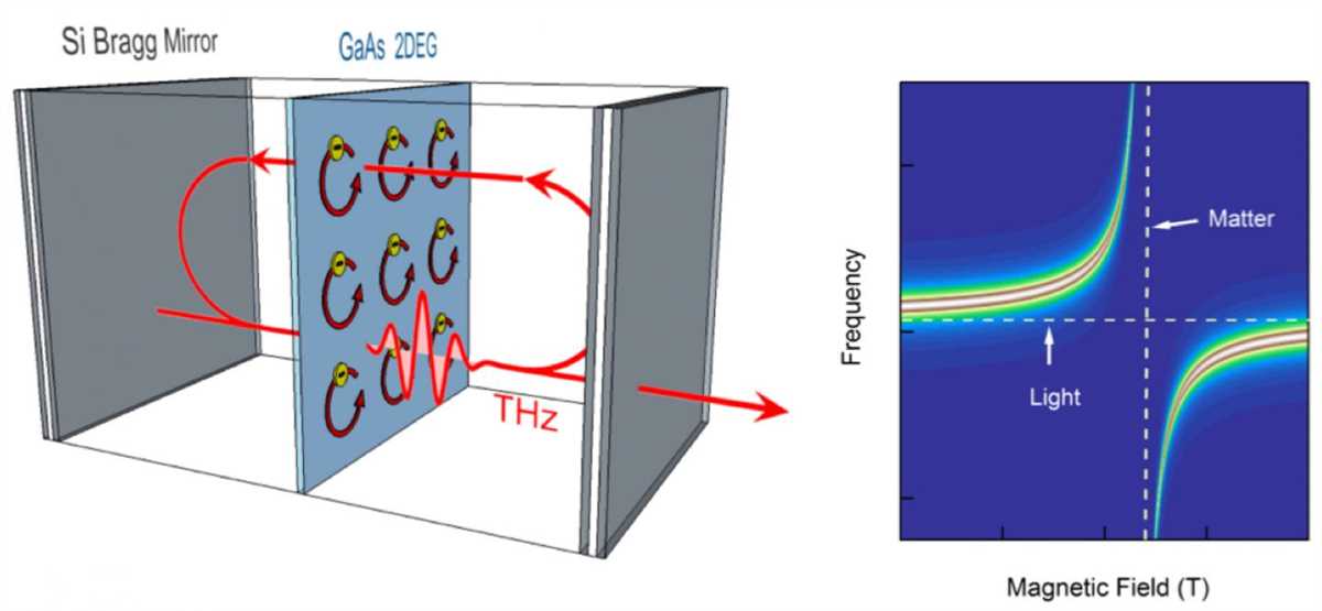 Understanding Reflection and Refraction