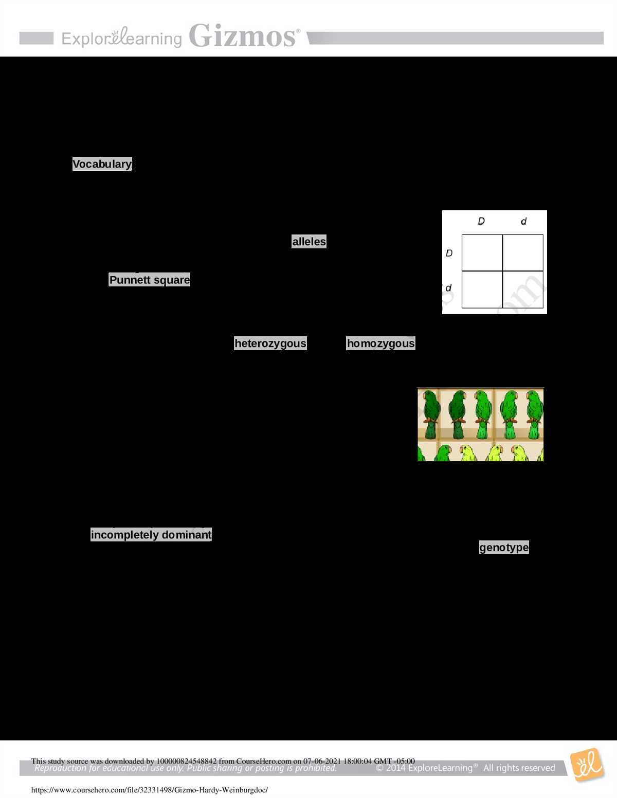 Analyze and interpret the information provided in the Inheritance Gizmo answer key PDF