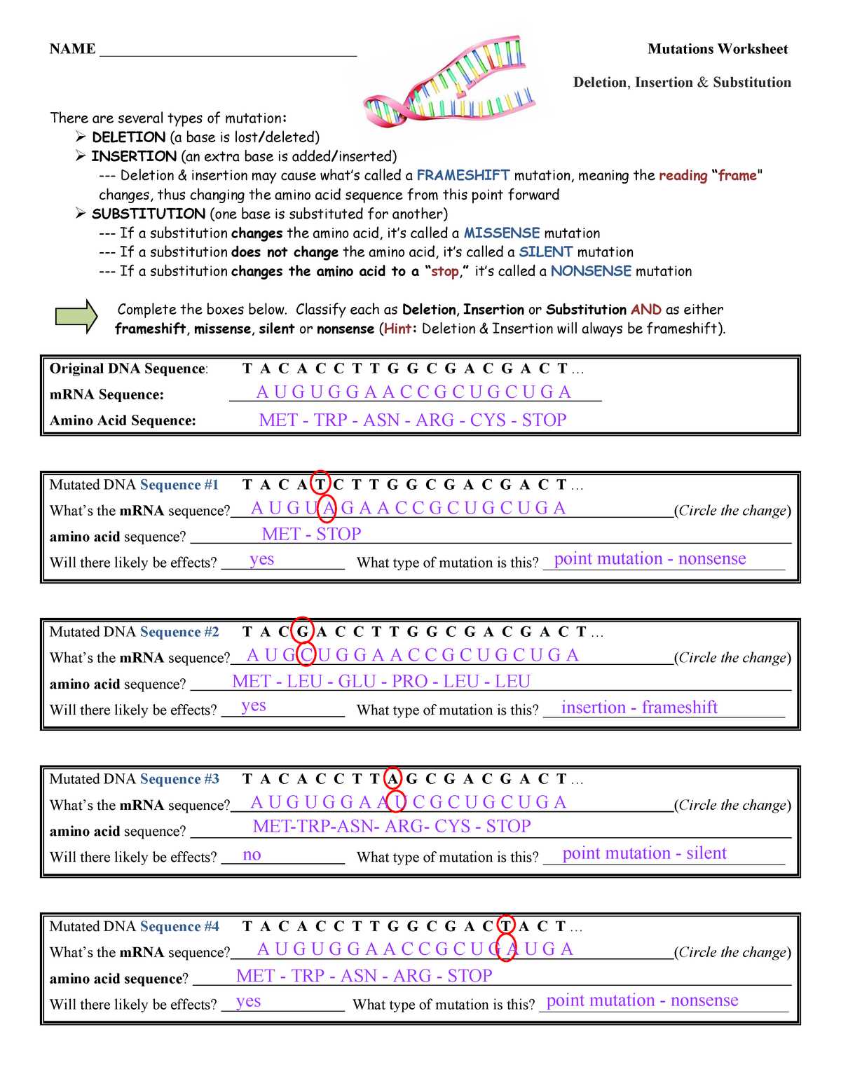 Dna mutations practice worksheet answer key