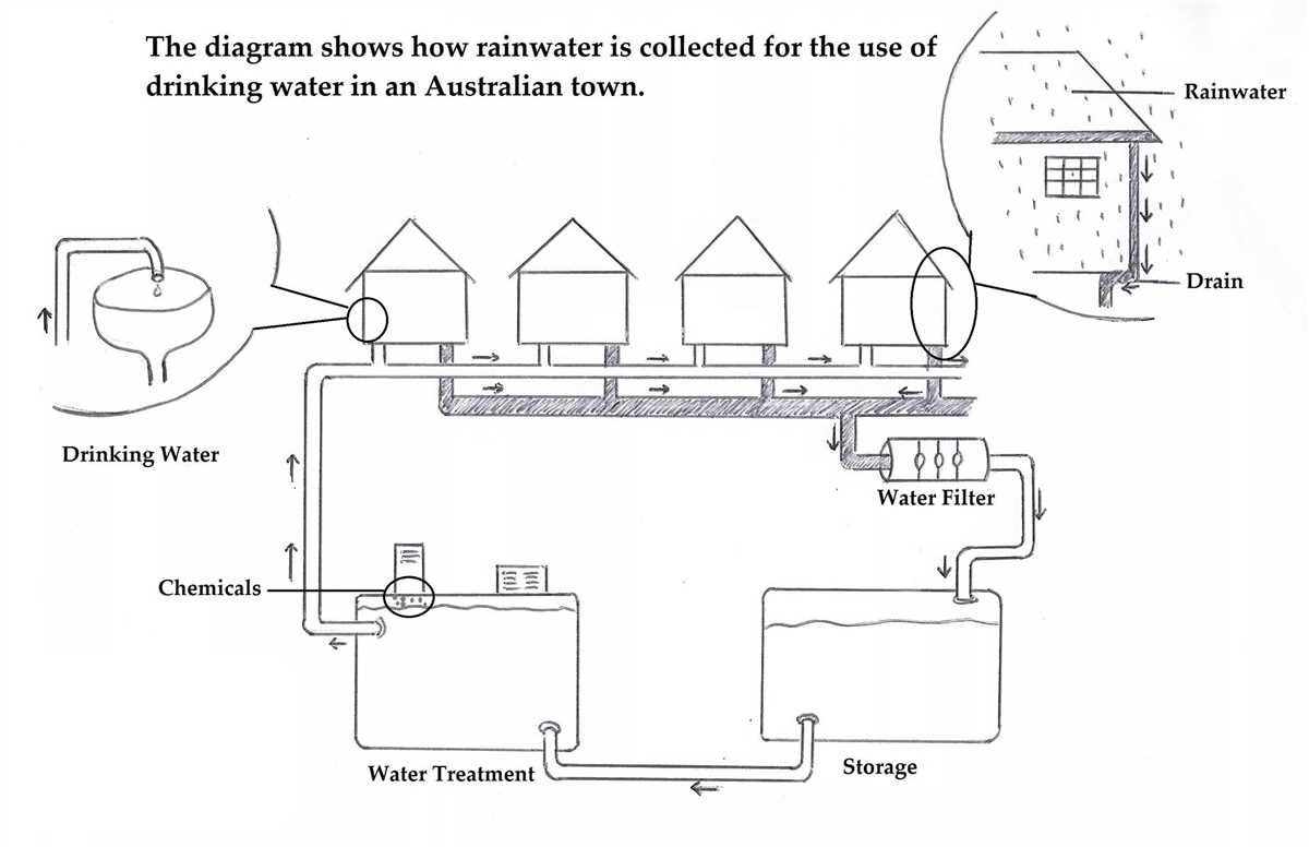 Use the diagram to answer the question