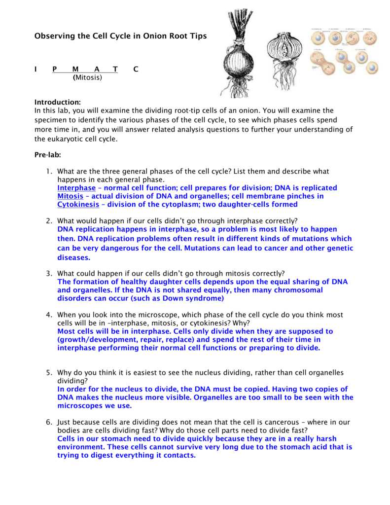 2. How does the online onion root tips tool work?