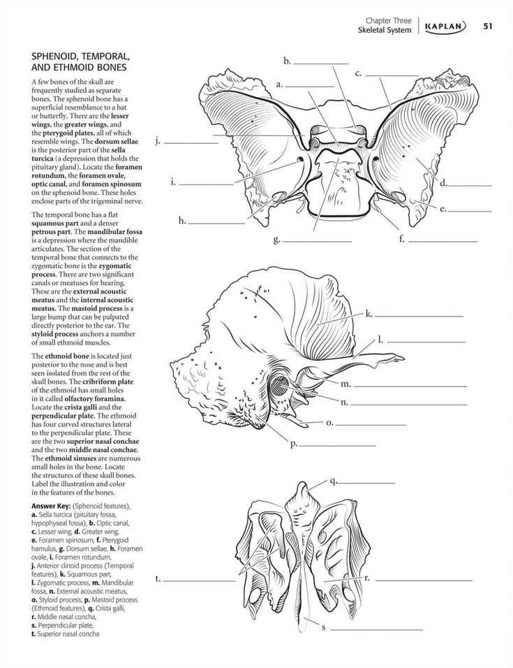 Benefits of Using Coloring Workbooks for Studying