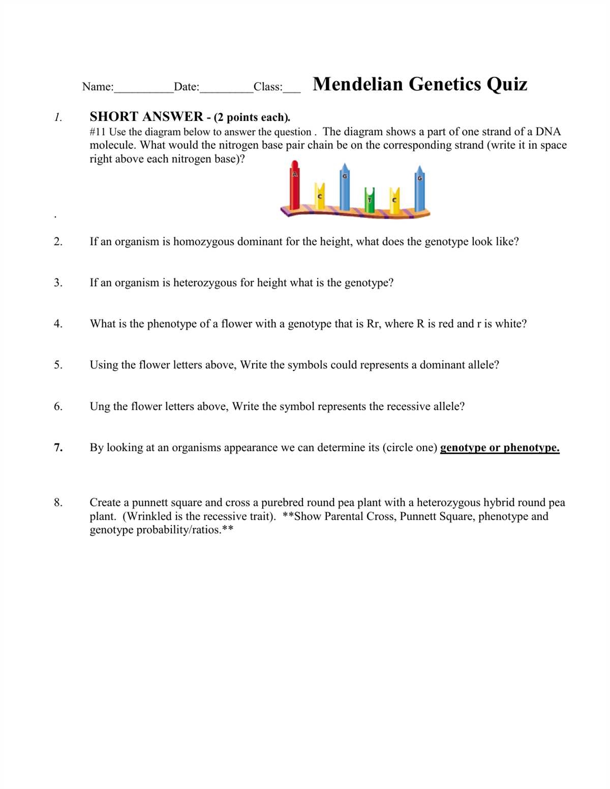 How to Use Dragon Genetics Worksheet Answer Key