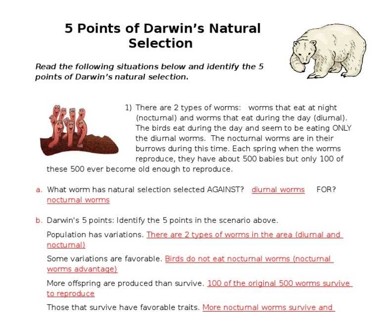 The 10 3 Theory of Natural Selection Unraveling the Answer Key
