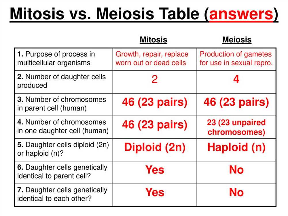 The Stages of Meiosis