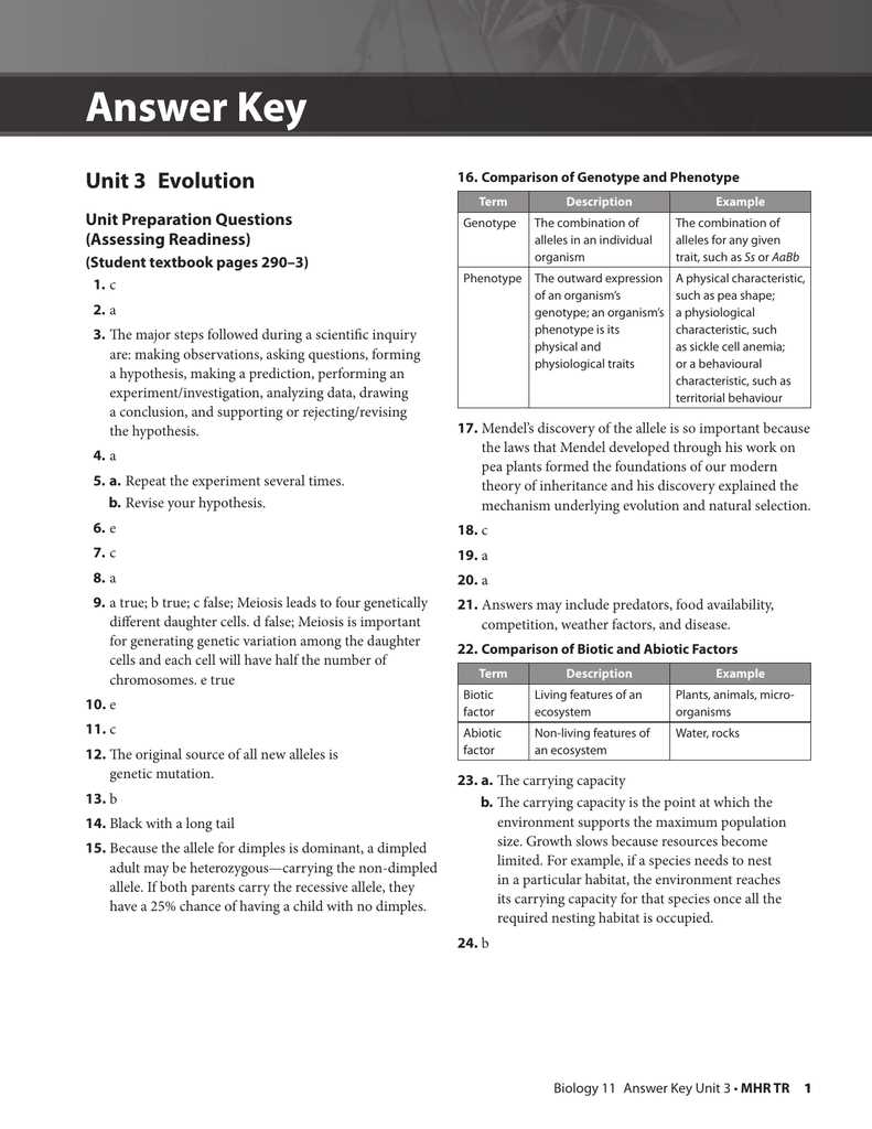 Exploring the Relationship between Radioactive Decay and Half Life