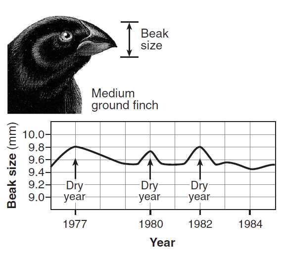 Materials Used in the Beaks of Finches Lab