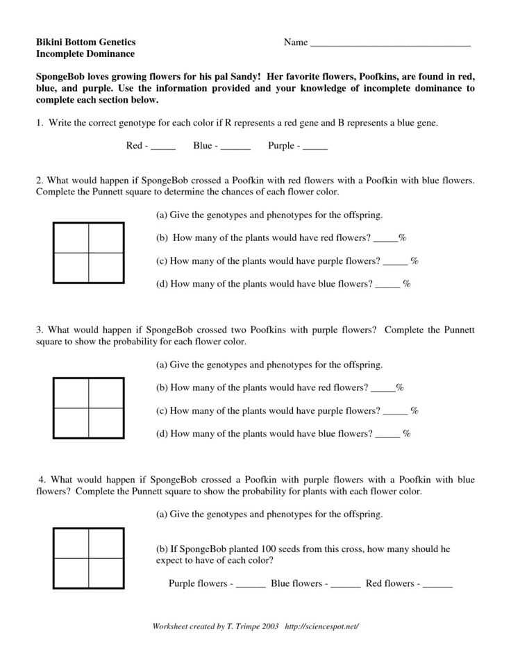 Bikini bottom genetics codominance answer key