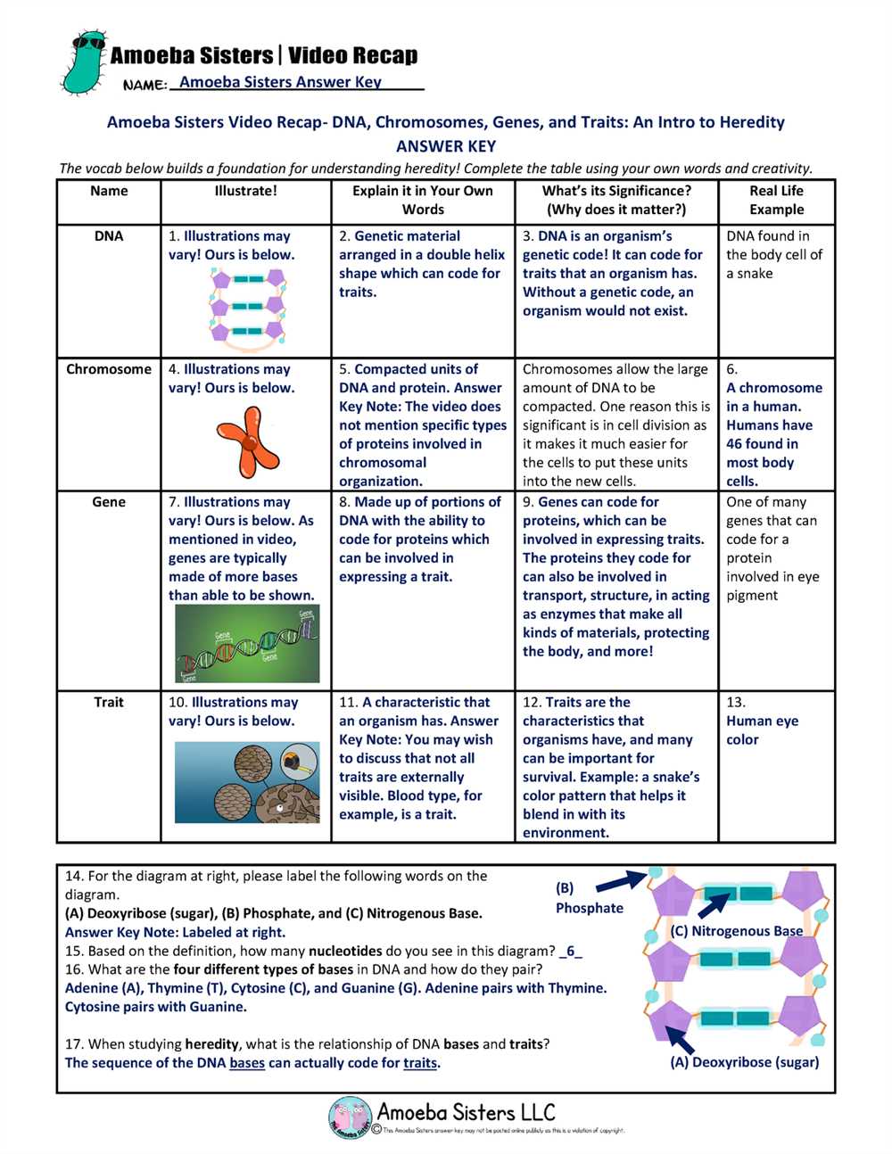 Introduction to genetics answer key