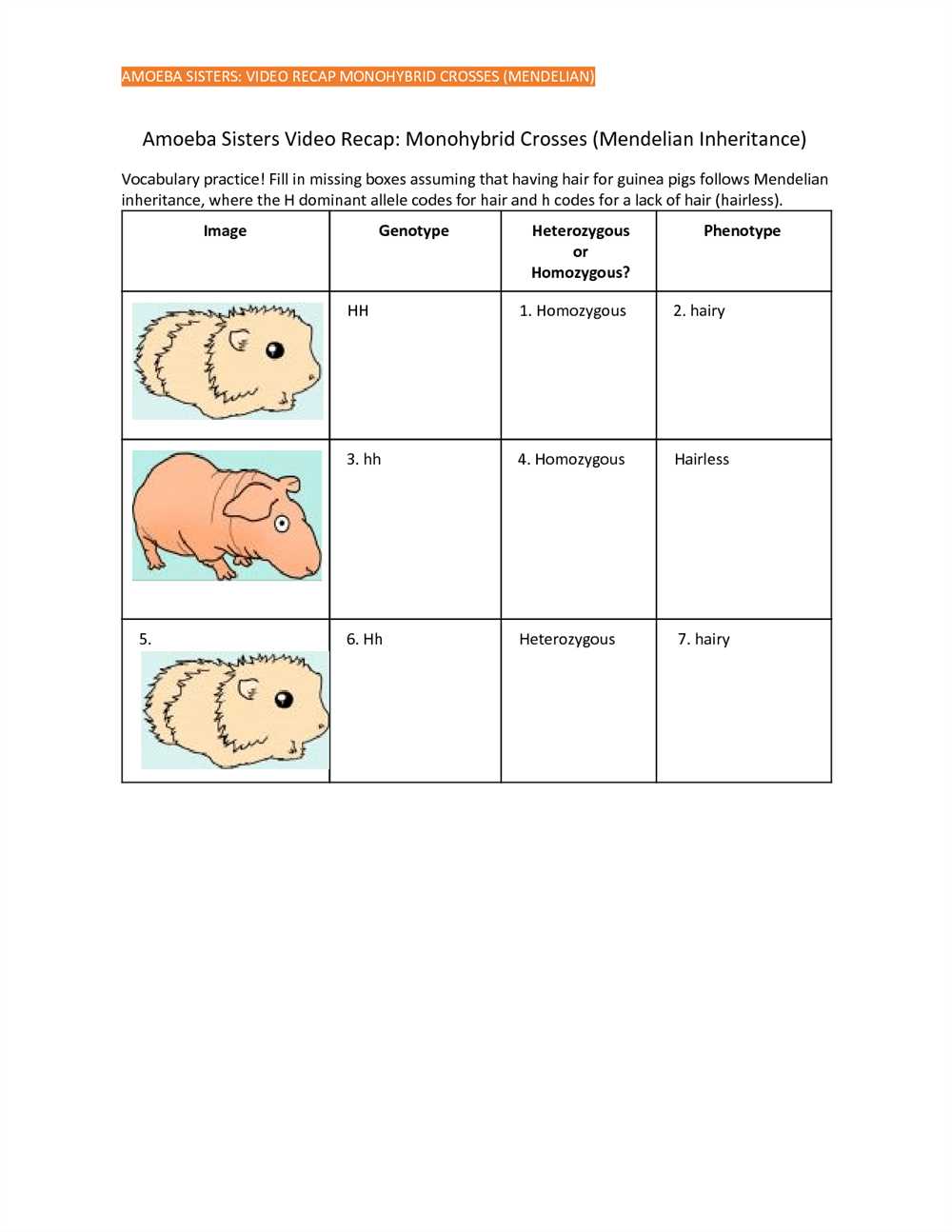 Amoeba sisters video recap classification worksheet answers