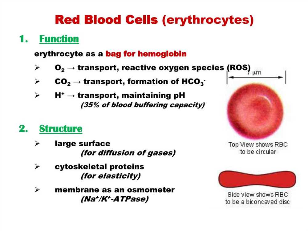 The Rh Blood Group System: Understanding Rh Factor and Typing