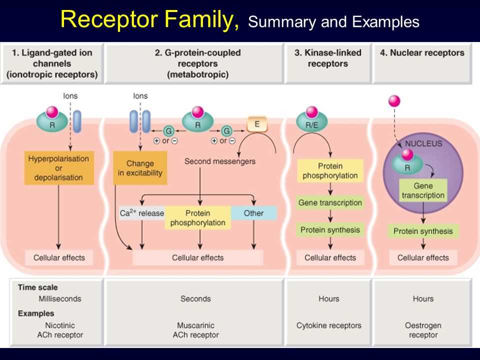 Importance of Relias Pharmacology A in the Healthcare Field