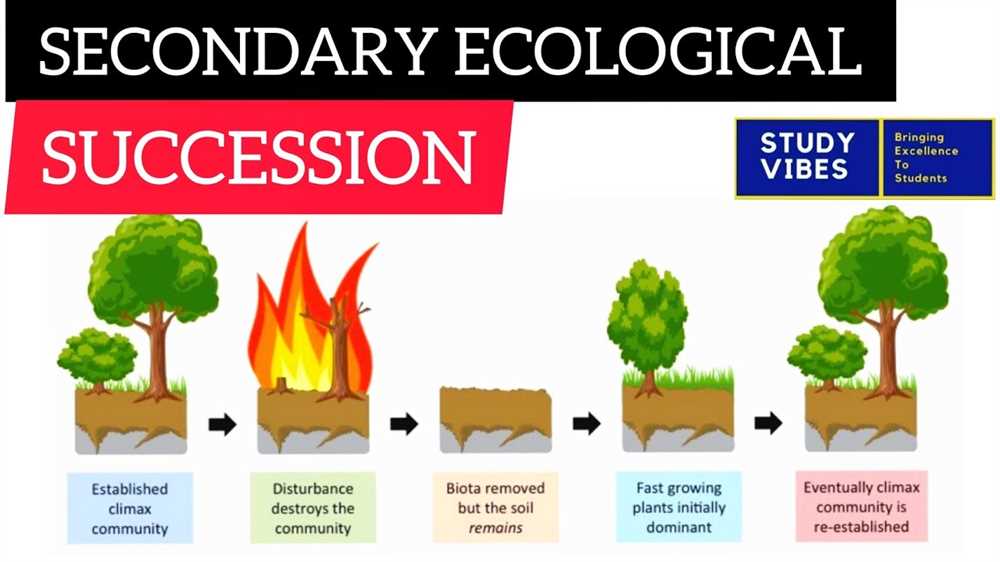 Primary Succession: The Pioneer Stages