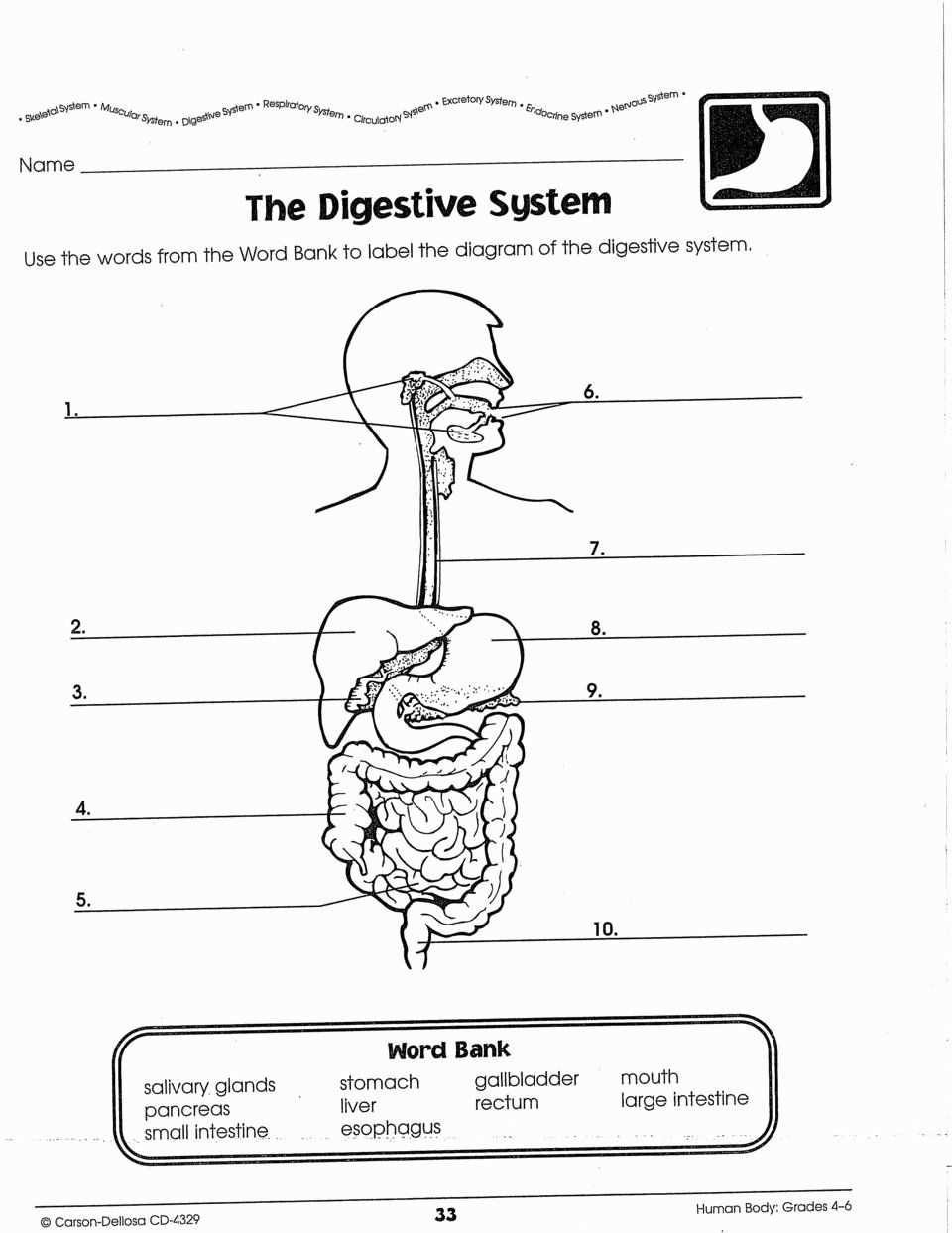 Functions of the Endocrine System