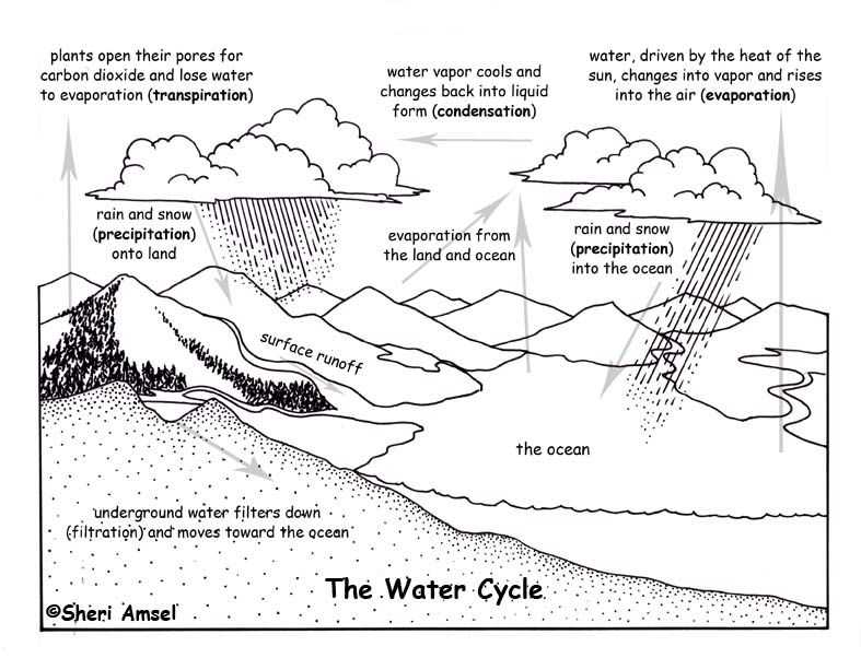 What is a Color by Number Water Cycle?