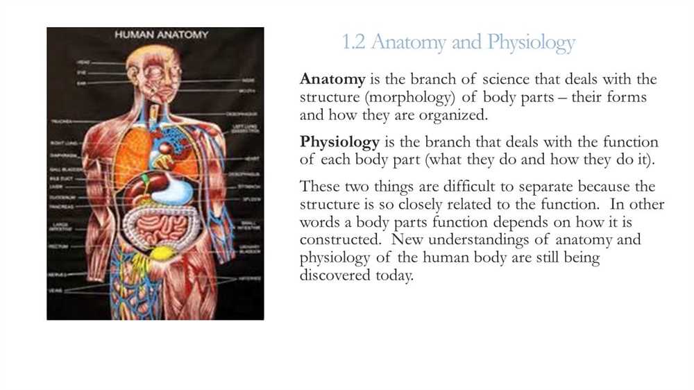 Body Systems and Functions