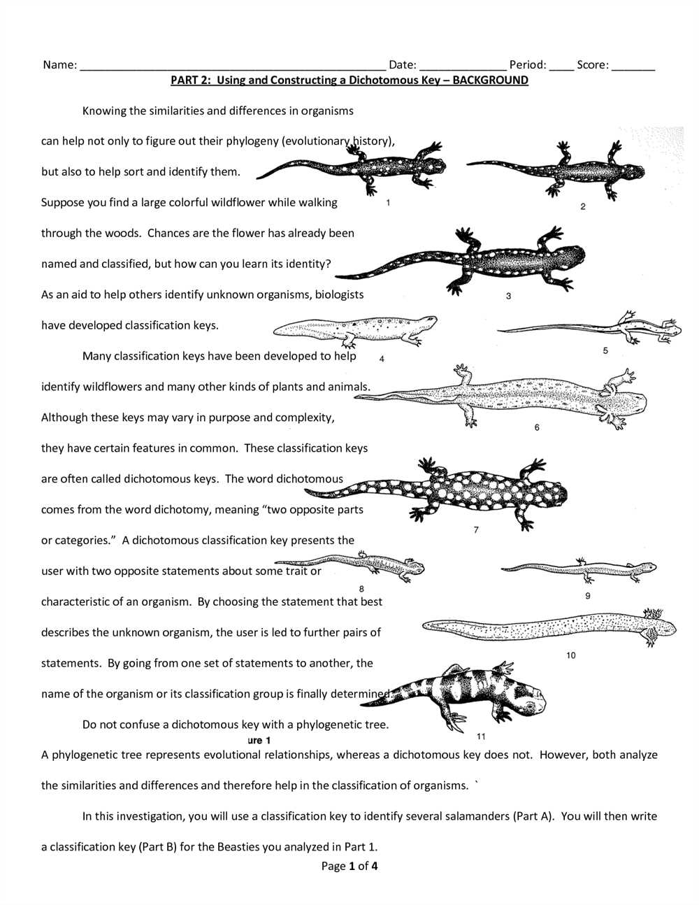 Limitations of Dichotomous Keys