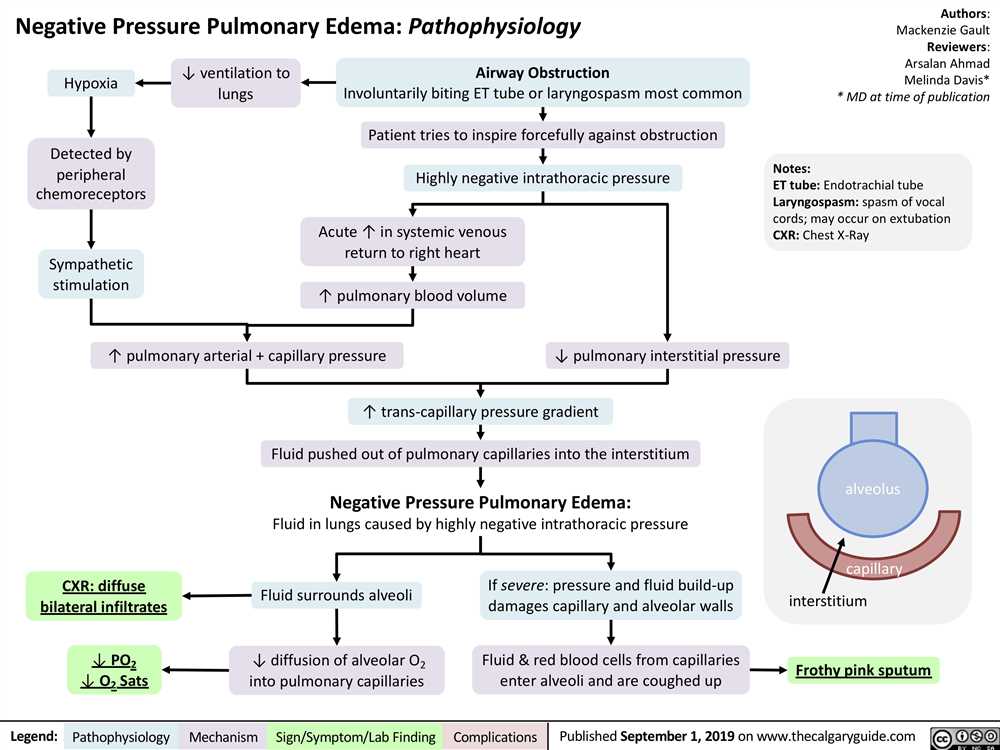 Inflammation and Immunity