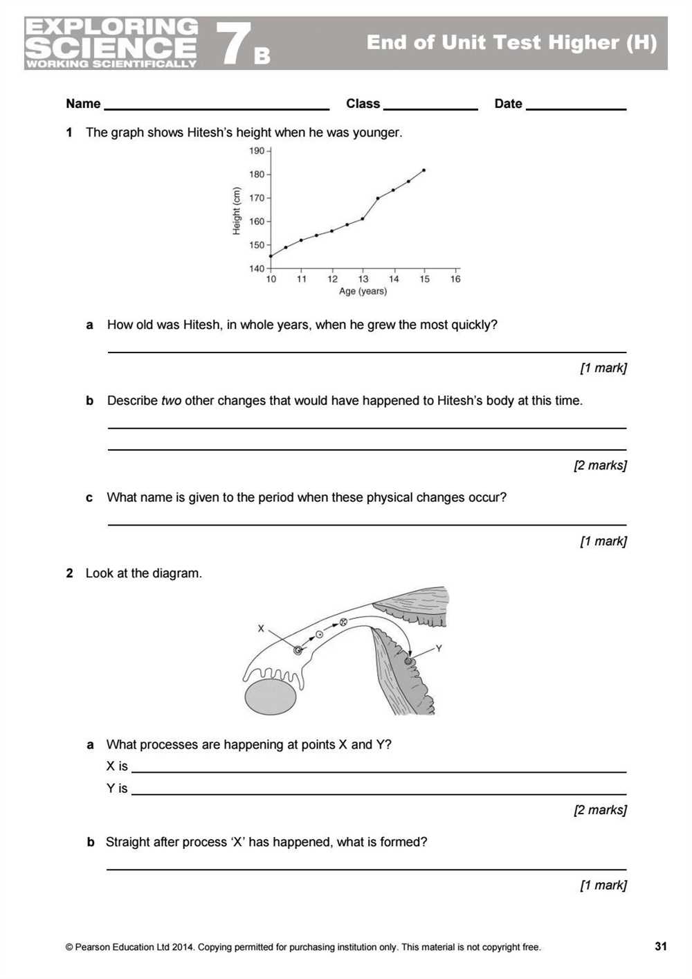 Understanding the Importance of Cell Biology