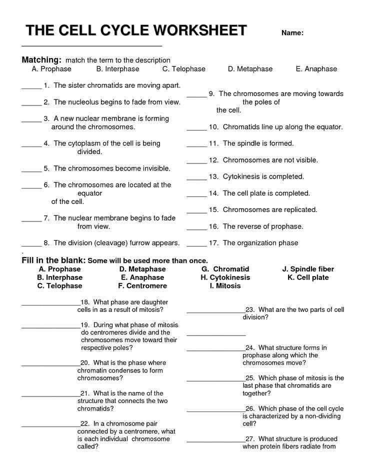 Solving the True or False Questions