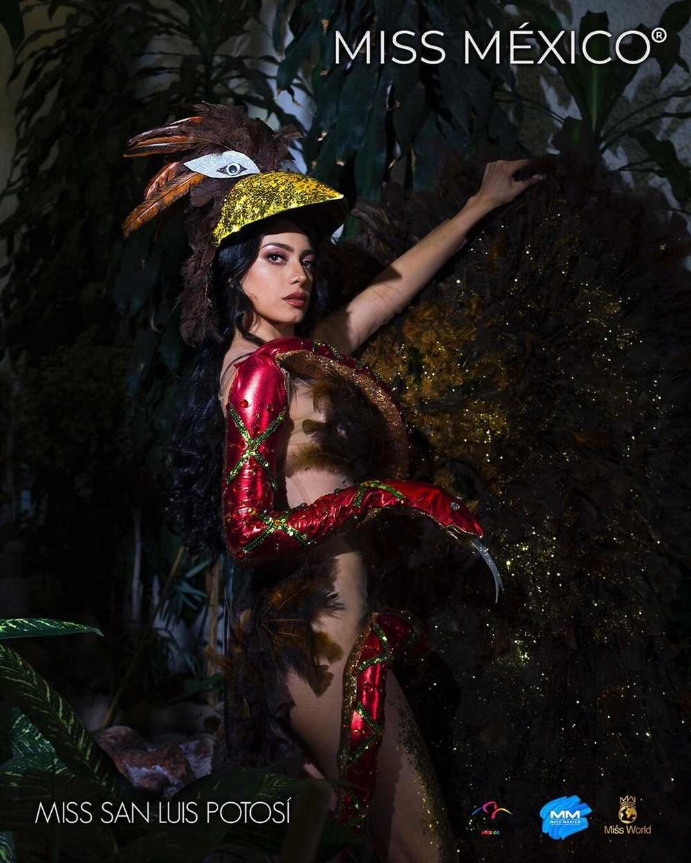 Miss mexico contestants