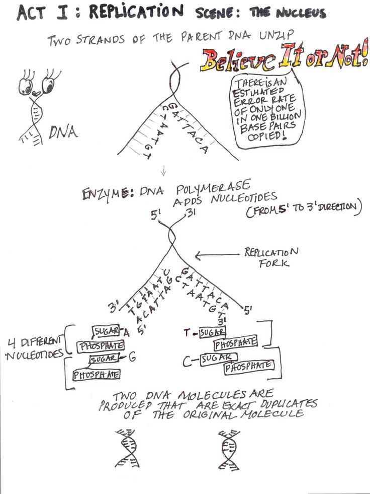 Exploring the 3D Molecular Designs Translation Activity Guide