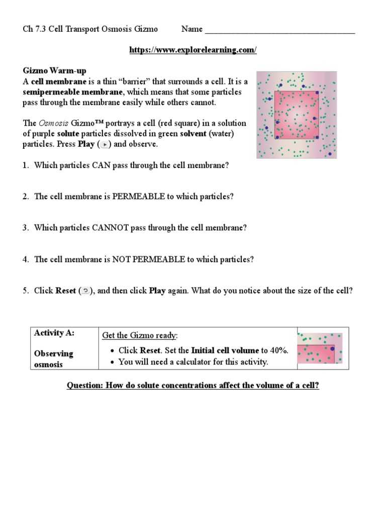 4. Observe and analyze the graphs: