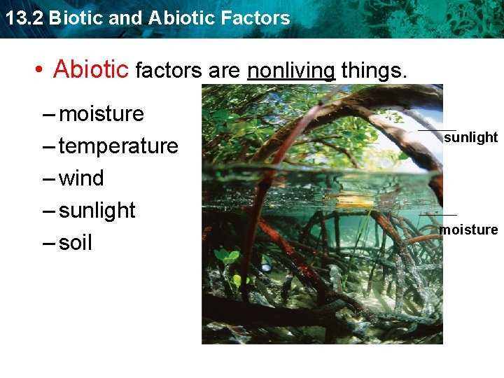 Identifying the Role of Biotic Factors in Species Survival