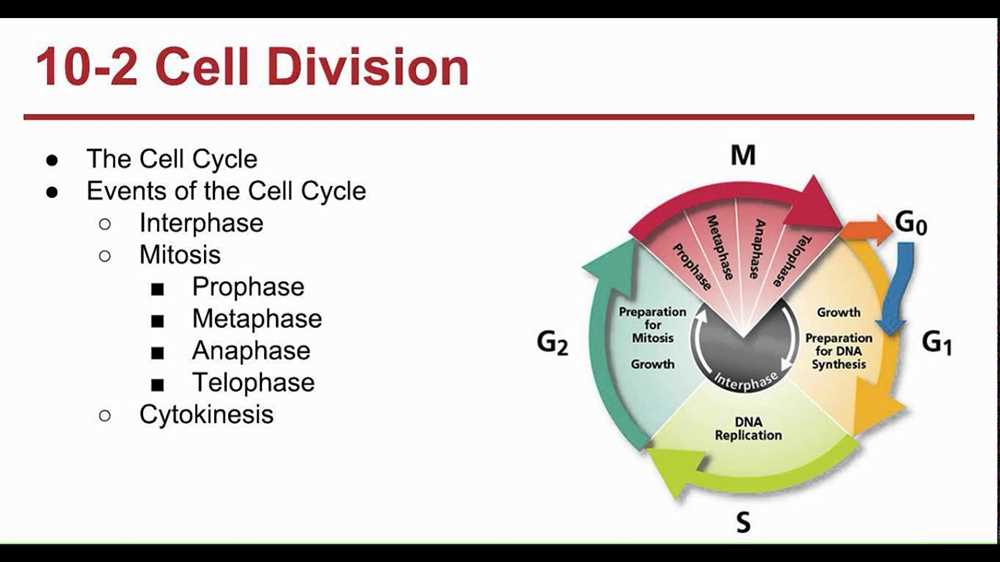 Why do students often seek answers to Miller and Levine biology questions?