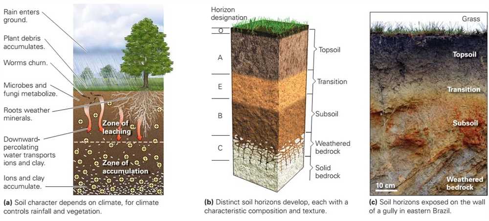 Geology has the greatest effect on soil building