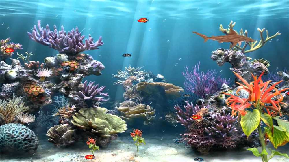 The Importance of Coral Reefs