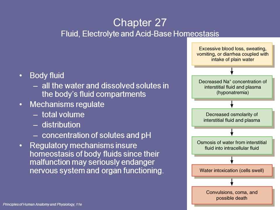 Importance of Fluid, Electrolyte, and Acid-Base Balance