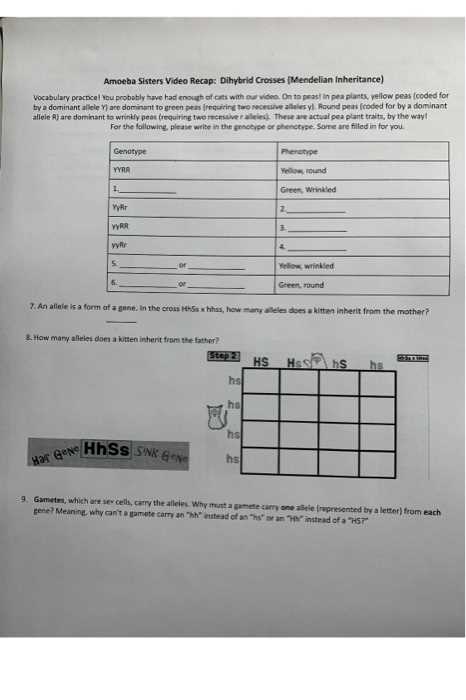 Amoeba sisters introduction to cells answer key