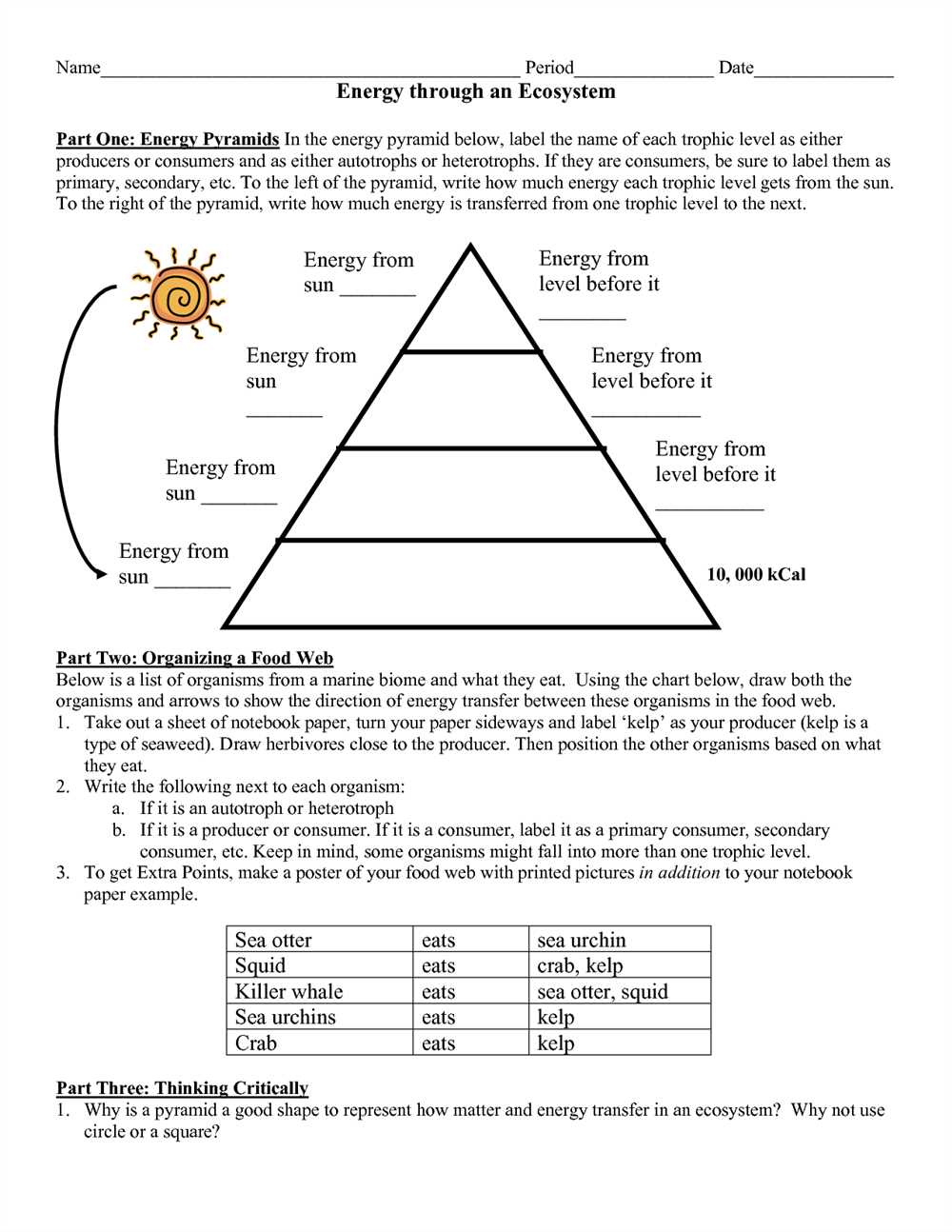 Energy flow in ecosystems worksheet answer key