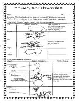 Immunity pogil answers