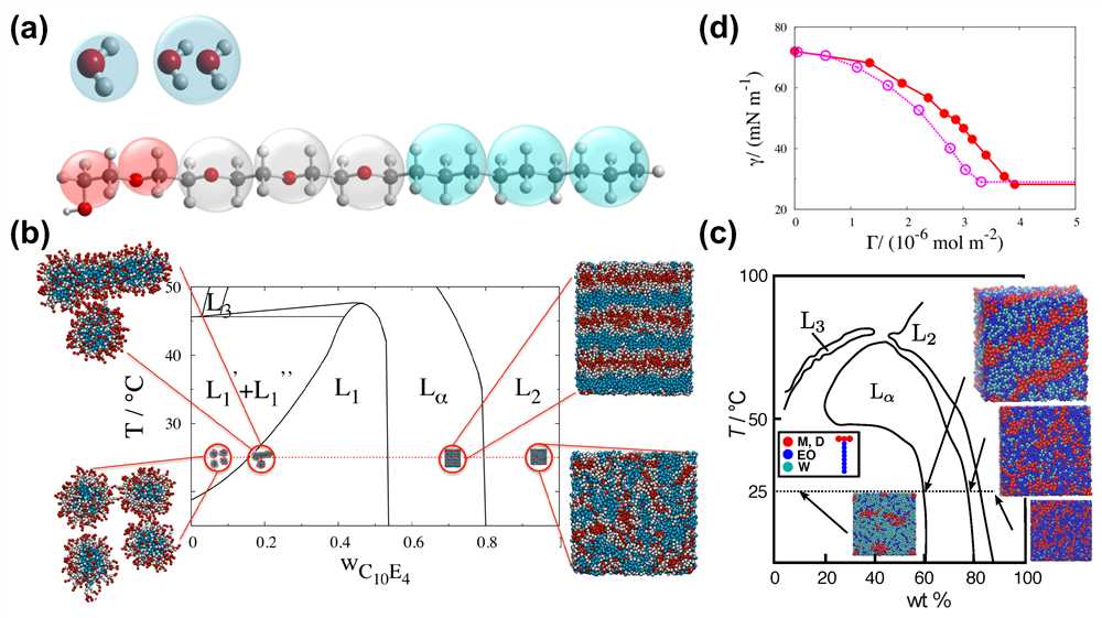 Understanding Molecule Structure